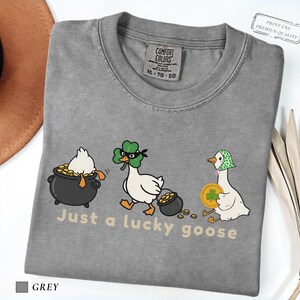 grey comfort colors t-shirt with three illustrated geese, one in a pot of gold, one wearing a shamrock mask, and one holding a coin, playful st patrick’s day design