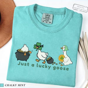 chalky mint comfort colors t-shirt with three illustrated geese, one in a pot of gold, one wearing a shamrock mask, and one holding a coin, playful st patrick’s day design