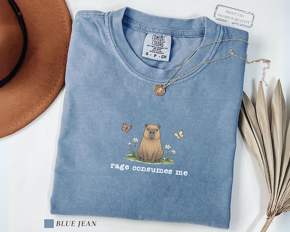 Funny Capybara Meme Shirt Rage Consumes Me, Comfort Colors Vintage Unhinged Capybara Tee, Weird Humor T-Shirt, Sarcastic Capybara Lover Gift