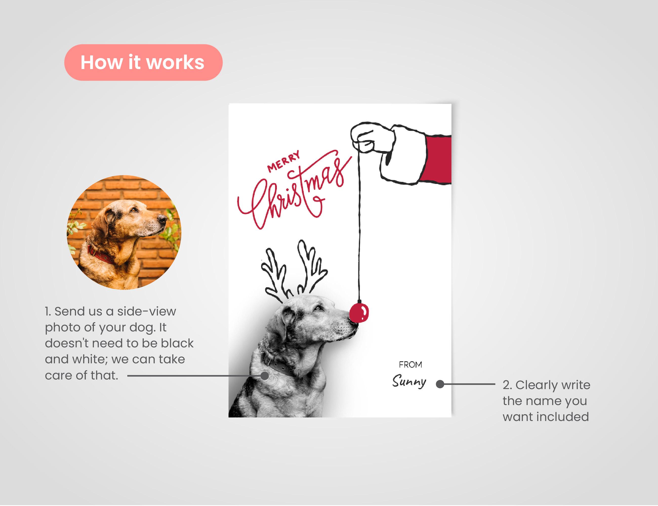 Custom Dog Christmas Card From Photo, Personalize Pet Xmas Holiday Card ...
