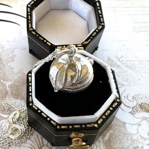 May include: A silver locket necklace with a leaf design. The locket is open and is sitting in a black velvet box with a gold trim.