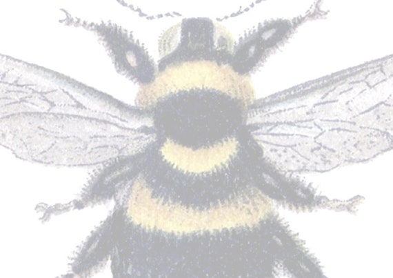 Bees Junk Journal Digital Image Kit Digikit Hive Etsy