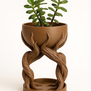 Peut inclure: Un pot de plante marron avec un design unique en forme d'arbre, contenant une plante succulente verte. Le pot est soutenu par des branches entrelacées et texturées. Un élément de décoration pour la maison, d'environ 15 cm de diamètre.