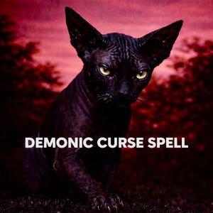 Könnte beinhalten: Eine schwarze Sphynx-Katze mit gelben Augen ist der Mittelpunkt dieses Bildes. Die Katze ist vor einem dunkelroten Hintergrund platziert, mit den Worten "DEMONIC CURSE SPELL" in weißem Text. Die Katze sitzt auf einer dunklen grünen Grasfläche.