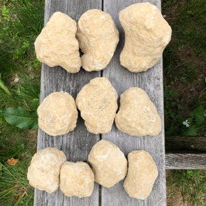 May include: A collection of ten beige and white geode crystals of various sizes and shapes. The crystals are arranged on a wooden surface.