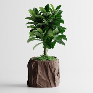 Vaso Quadrato Effetto Carta per Piante Succulente & Ornamentali, Design Moderno Arredo Interni, Decorazione Contemporanea