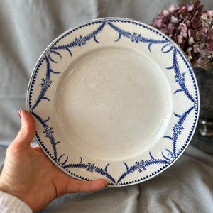 Peut inclure: Assiette en céramique blanche avec un motif floral et de feuilles bleu sur le bord. L'assiette a un aspect vieilli. L'assiette est tenue dans une main, avec un fond gris clair et un vase de fleurs séchées en arrière-plan.