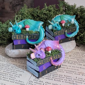 Puede incluir: Tres figuras de dragones en miniatura en tonos azules y morados descansan sobre pilas de libros. Cada drag&oacute;n est&aacute; posado sobre un lecho de musgo verde con una seta roja y blanca. Los libros son negros y morados con detalles dorados.