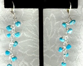 Sleeping Beauty Turquoise Earrings