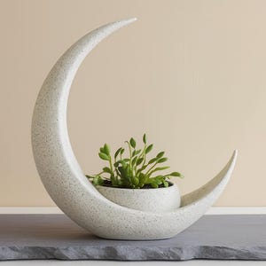 Peut inclure: Un pot de fleur en forme de croissant de lune en céramique blanche mouchetée, contenant une petite plante en pot avec des feuilles vertes. Le pot a une surface texturée et repose sur une surface grise. L'arrière-plan est de couleur beige uni.