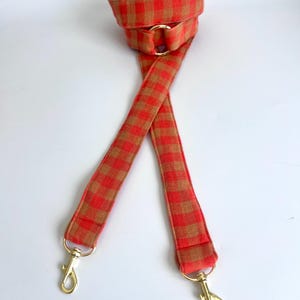 dog leash - Lilo
