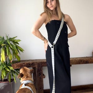 dog leash - Flow