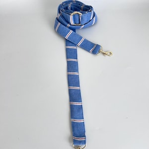 dog leash - Blue