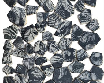 Seashell Print Ceramic Mosaic Tiles: Black & White Irregular Craft Tiles