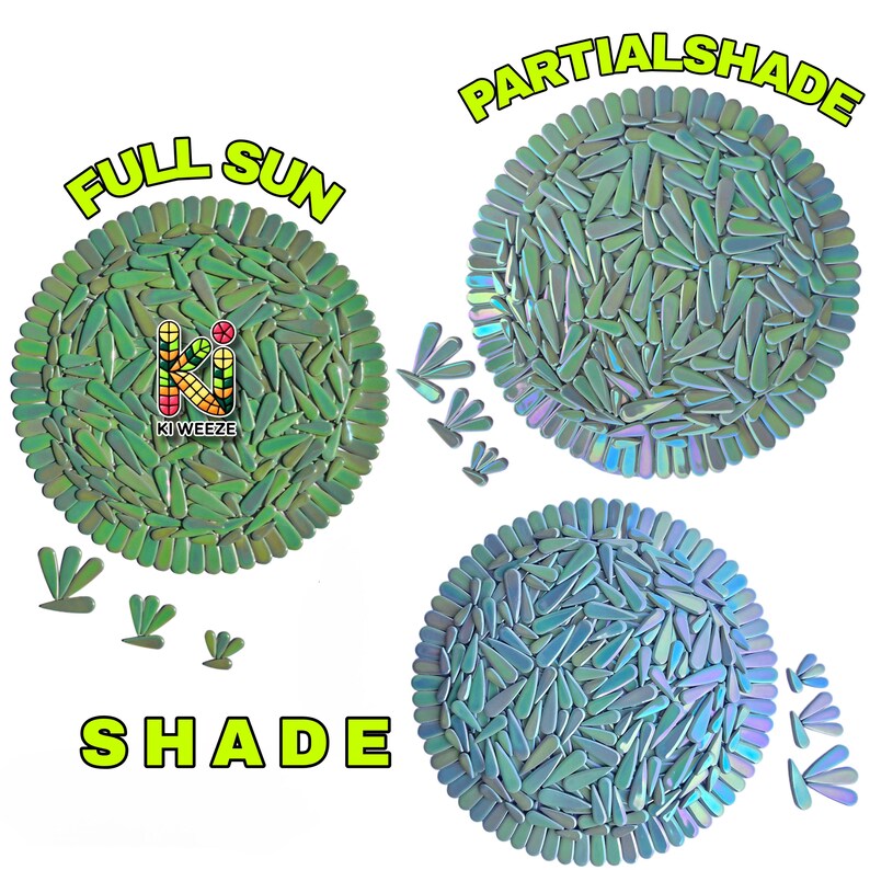 May include: Three circular plant mats with a mosaic design, each labeled with a different light condition: "FULL SUN", "PARTIAL SHADE", and "SHADE". The mats are green, iridescent, and blue, with the "Ki Weeze" logo.