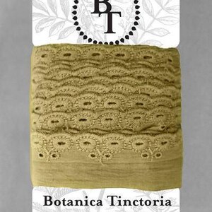 Renda de algodão orgânico tingido naturalmente, 2,75cm de largura - Verde Oliva *vendida em cartão de 5m*