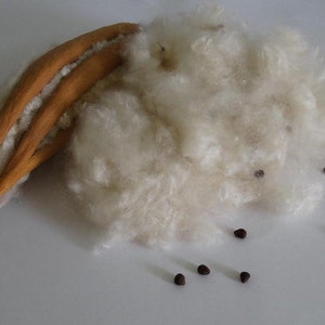 Natural Kapok Fiber, Silk Cotton, Natural, Eco-Friendly, Stuffing, 100 Grams