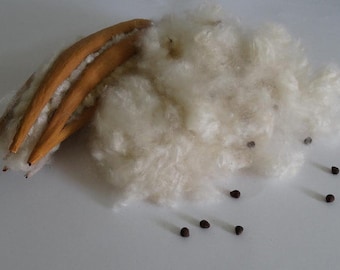 Natural Kapok Fiber, Silk Cotton, Natural, Eco-Friendly, Stuffing, 1 lbs.