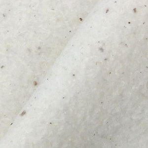 May include: Close-up of a white, textured paper with small brown flecks throughout.
