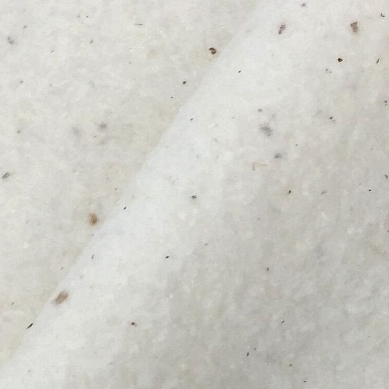 May include: Close-up of a white, textured paper with small brown flecks throughout.
