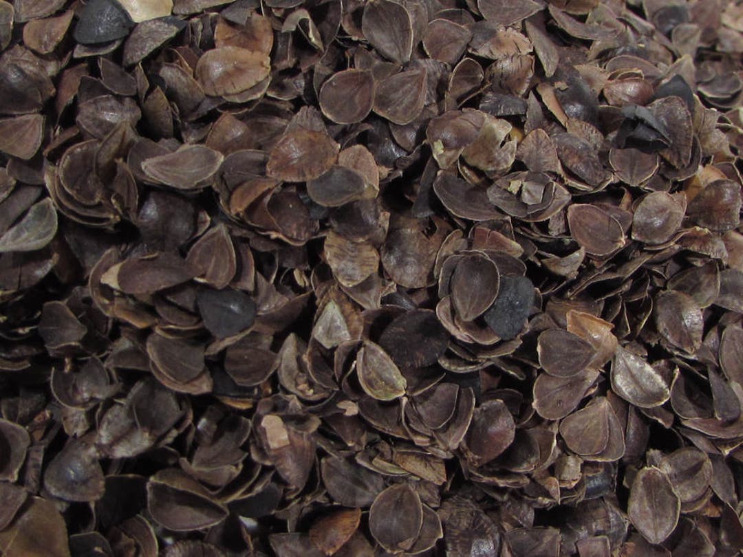 Medium Grade Buckwheat Hulls1 Lb. Bag Etsy