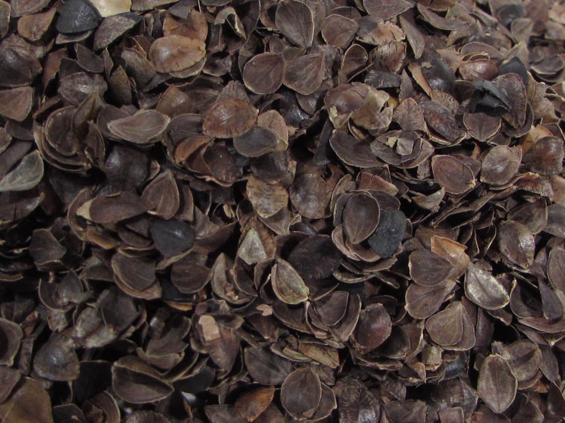 Medium Grade Buckwheat Hulls-1 Lb. Bag - Etsy