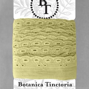 Renda de algodão orgânico tingido naturalmente, 2,75cm de largura - Verde Folha *vendida em cartão de 5m*