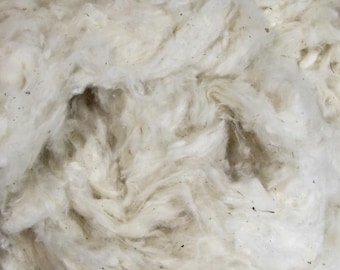 Organic Cotton, Raw Fiber, 100% Organic, Grown in USA - 100 Grams