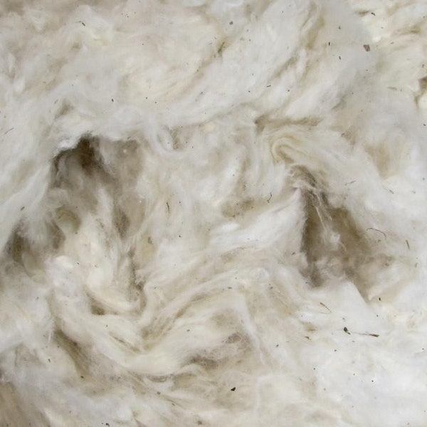 Organic Cotton, Raw Fiber, 100% Organic, Grown in USA