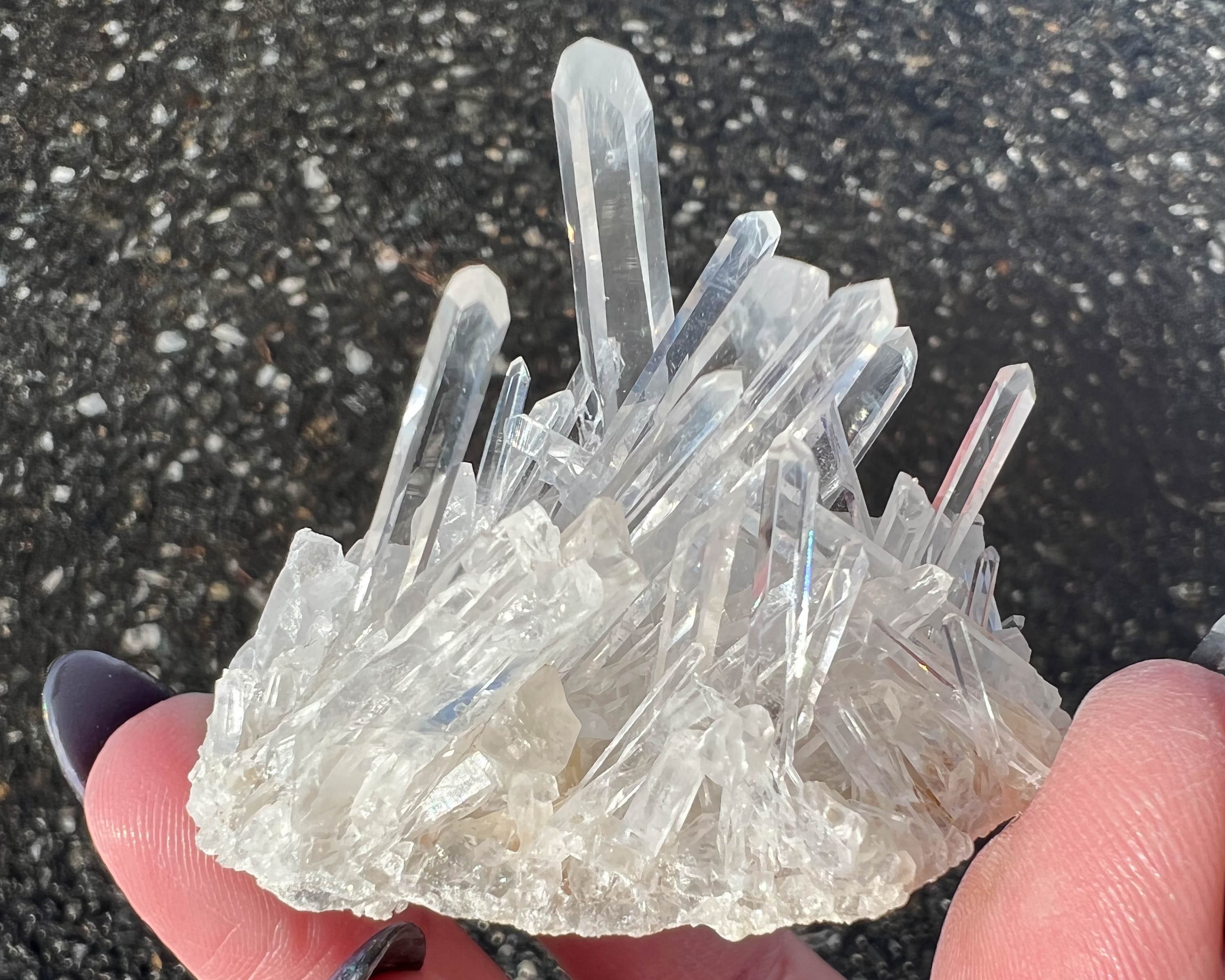 美✨超希少✨AAAAA 特大 コロンビアレムリアン✨my collection✨ il_fullxfull.3689213786_bw0z.jpg