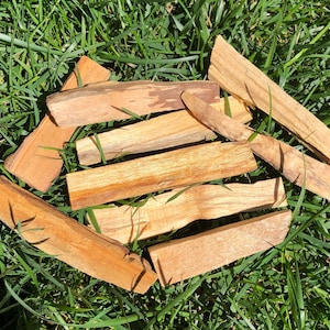 1/8 Pound Palo Santo Sticks / Natural Sacred Incense Bulk lb