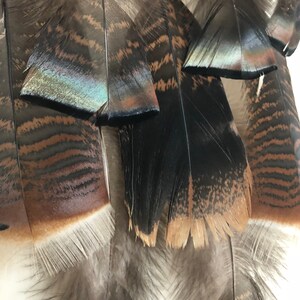 Vine Dream Catcher with Iridescent Wild Turkey Feathers image 4