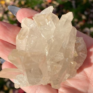 Puede incluir: Un c&uacute;mulo de cristales de cuarzo transparentes con un acabado natural y en bruto. Los cristales est&aacute;n agrupados en una forma tosca y org&aacute;nica, con algunos puntos que se extienden hacia afuera. Los cristales son transl&uacute;cidos y tienen un ligero brillo.