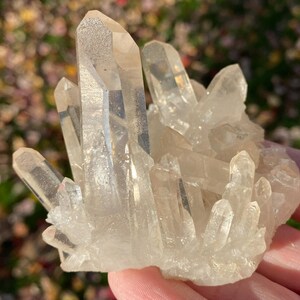 Puede incluir: Un c&uacute;mulo de cristales de cuarzo transparentes de diferentes tama&ntilde;os y formas. Los cristales est&aacute;n dispuestos en una formaci&oacute;n natural, con algunos apuntando hacia arriba y otros hacia abajo. Los cristales son transl&uacute;cidos y tienen un ligero brillo.
