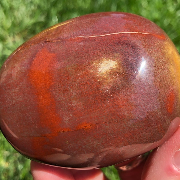 Polished Petrified Wood Palm Stone / Rainbow Red Pink Purple and Yellow Gallet Fossil #13