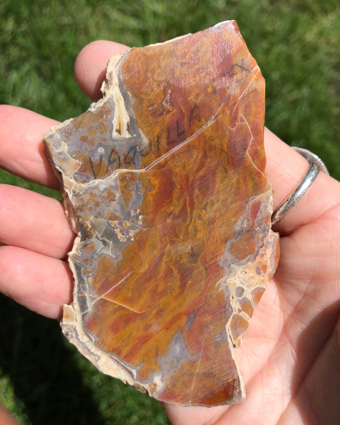 petrify 3.5 petrify 3.5
