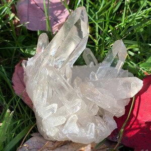 Puede incluir: Un c&uacute;mulo de cristales de cuarzo transparentes con una variedad de formas y tama&ntilde;os. Los cristales est&aacute;n dispuestos en una formaci&oacute;n natural y tienen una apariencia transl&uacute;cida. Los cristales descansan sobre un lecho de hierba verde y hojas de oto&ntilde;o.