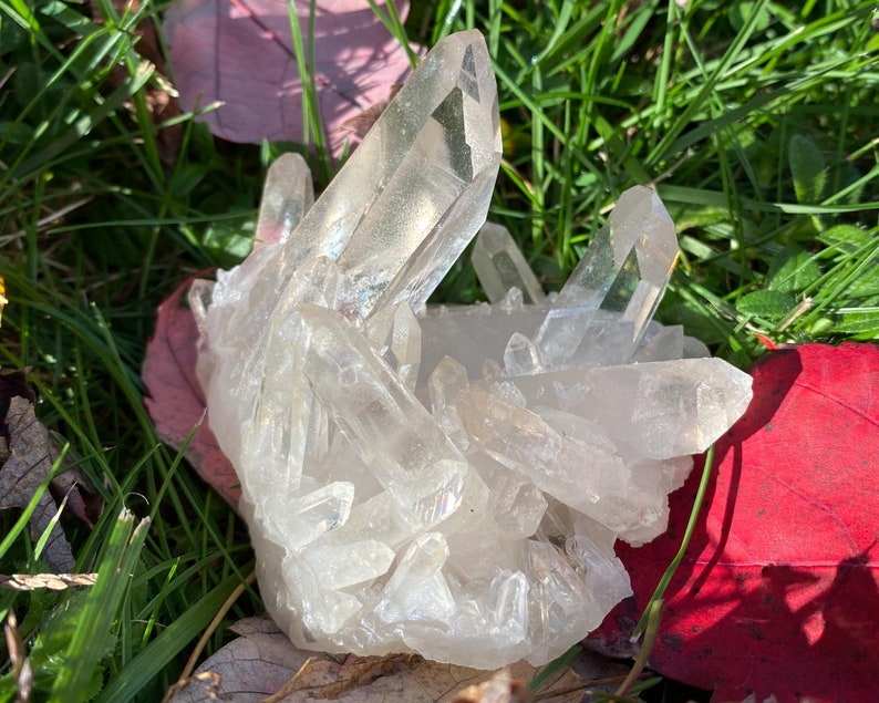 Puede incluir: Un c&uacute;mulo de cristales de cuarzo transparentes con una variedad de formas y tama&ntilde;os. Los cristales est&aacute;n dispuestos en una formaci&oacute;n natural y tienen una apariencia transl&uacute;cida. Los cristales descansan sobre un lecho de hierba verde y hojas de oto&ntilde;o.
