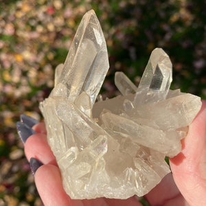 Puede incluir: Un c&uacute;mulo de cristales de cuarzo transparentes de diferentes tama&ntilde;os y formas. Los cristales est&aacute;n dispuestos en un patr&oacute;n natural y org&aacute;nico, creando una hermosa y &uacute;nica exhibici&oacute;n.