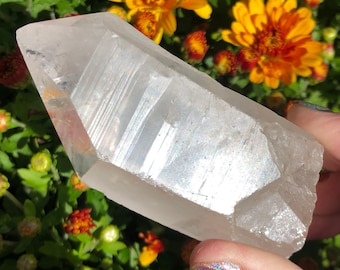 May include: A clear quartz crystal with a double termination and a rainbow sheen. The crystal is approximately 5 inches long and has a natural, rough texture.