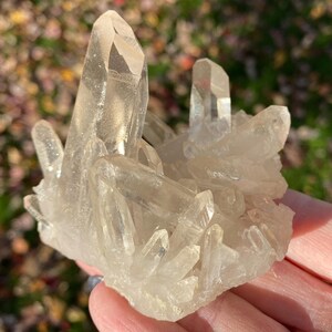 Puede incluir: Un c&uacute;mulo de cristales de cuarzo transparentes de diferentes tama&ntilde;os y formas. Los cristales est&aacute;n dispuestos de forma natural, algunos apuntando hacia arriba y otros hacia abajo. Los cristales son transl&uacute;cidos y tienen un ligero brillo.