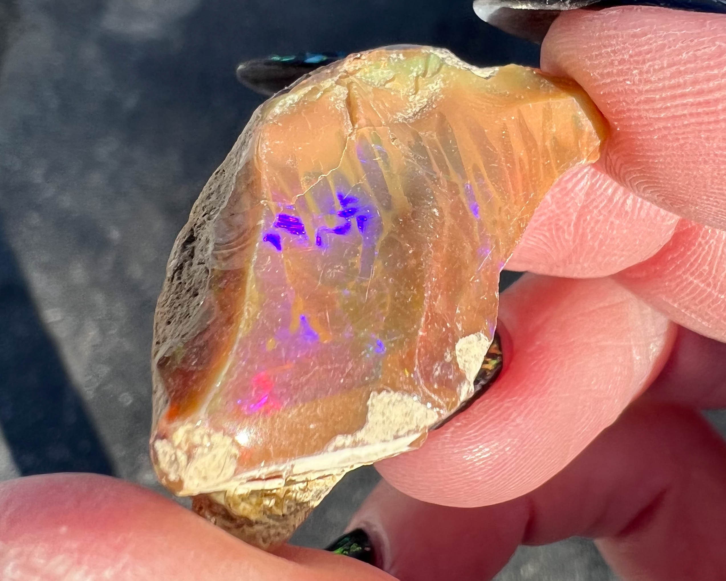 Rough Ethiopian Chocolate Opal, Honeycomb Pattern, Raw Crystal, Collectors Piece #273