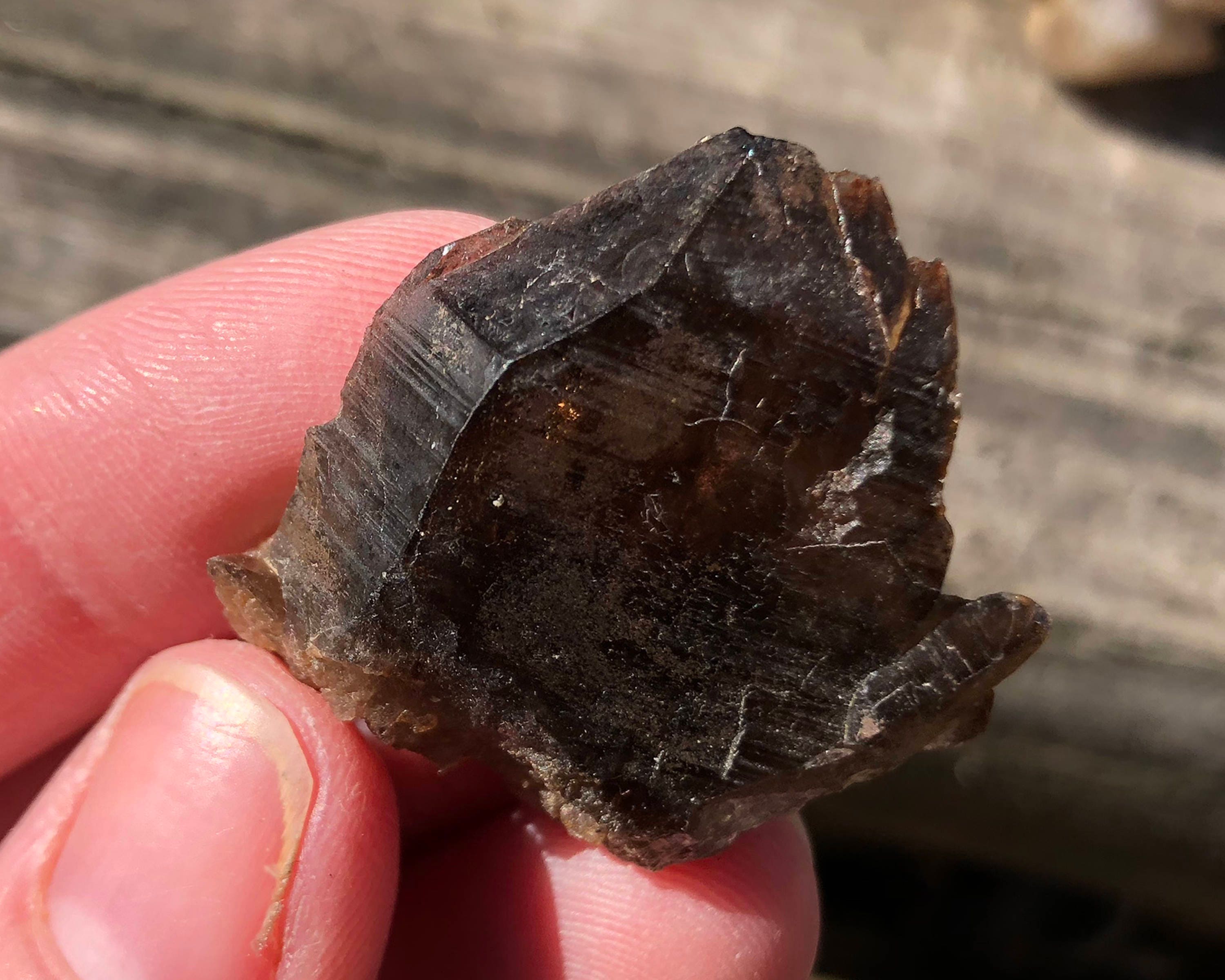 ナミビア産鉱物のクリスタルセット：グリーンフローライト