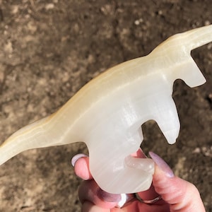 6.2&quot; Banded Calcite T-Rex Figurine  White Onyx Tyrannosaurus Dinosaur Crystal Carving, Birthday Gift for Boy, Home Decor for Adult, for Him