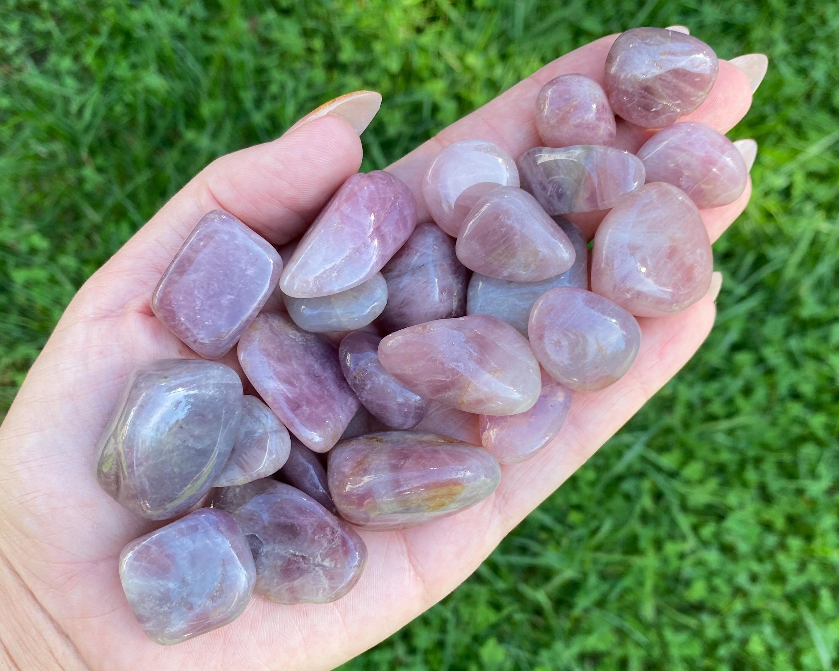 1/4 Lb Lavender Star Rose Quartz, Tumbled Stones, Tumbles, Red
