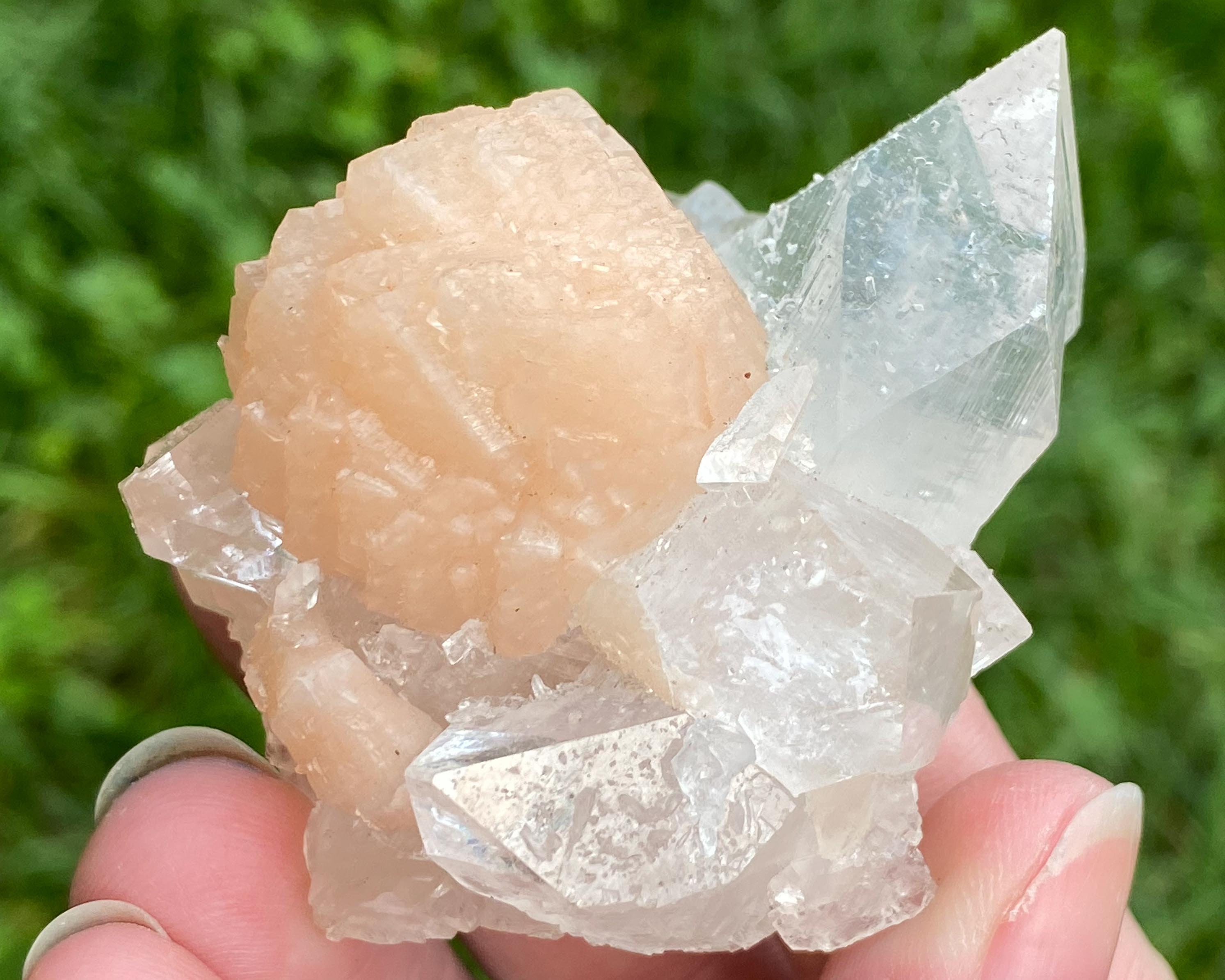 Apophyllite discount