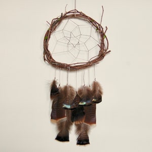 Vine Dream Catcher with Iridescent Wild Turkey Feathers image 1