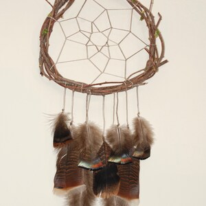 Vine Dream Catcher with Iridescent Wild Turkey Feathers image 2