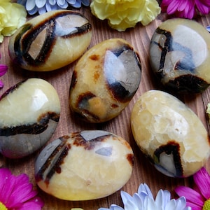 One Septarian Palm Stone, Dragon Palmstone, Calcite Aragonite and Limestone, Smooth Worry Stone, Gift for Friend, Birthday Gift for Mom