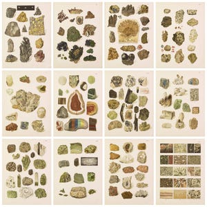 Digitale afbeeldingen mineralogiegrafieken afdrukbare geologie muurkunst educatieve wetenschap decor kristallen posters direct downloaden